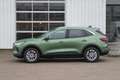 Ford Kuga 2.5 PHEV Titanium 243pk Nieuw Model | Bursting Gre Groen - thumbnail 6