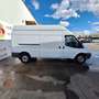 Ford Transit FORD Industrial  Manual de 4 Puertas Blanco - thumbnail 4