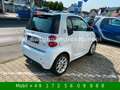 smart forTwo Fortwo coupe electric drive Klima Leder Navi ED3 White - thumbnail 6