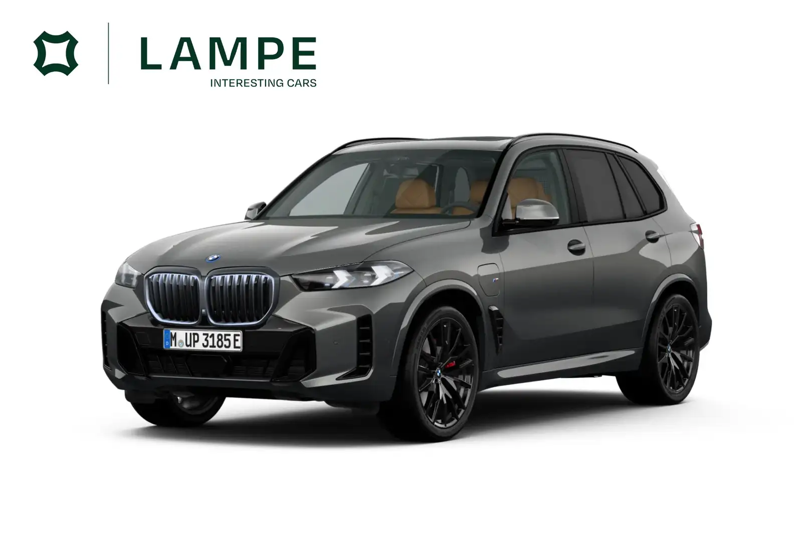 BMW X5 xDrive50e M Sport Pro Pano Harman Kardon Head-Up Grau - 1
