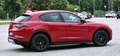 Alfa Romeo Stelvio Stelvio 2023 2.2 t Super rwd 160cv auto Rosso - thumbnail 7