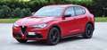 Alfa Romeo Stelvio Stelvio 2023 2.2 t Super rwd 160cv auto Rosso - thumbnail 13