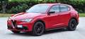 Alfa Romeo Stelvio Stelvio 2023 2.2 t Super rwd 160cv auto Rosso - thumbnail 6