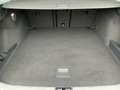 Volkswagen Passat Variant 2.0 TDI DSG BUSINESS 5JG+AHK+PANO Grün - thumbnail 14