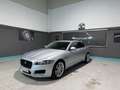 Jaguar XF 3.0TDV6 Prestige Grau - thumbnail 6