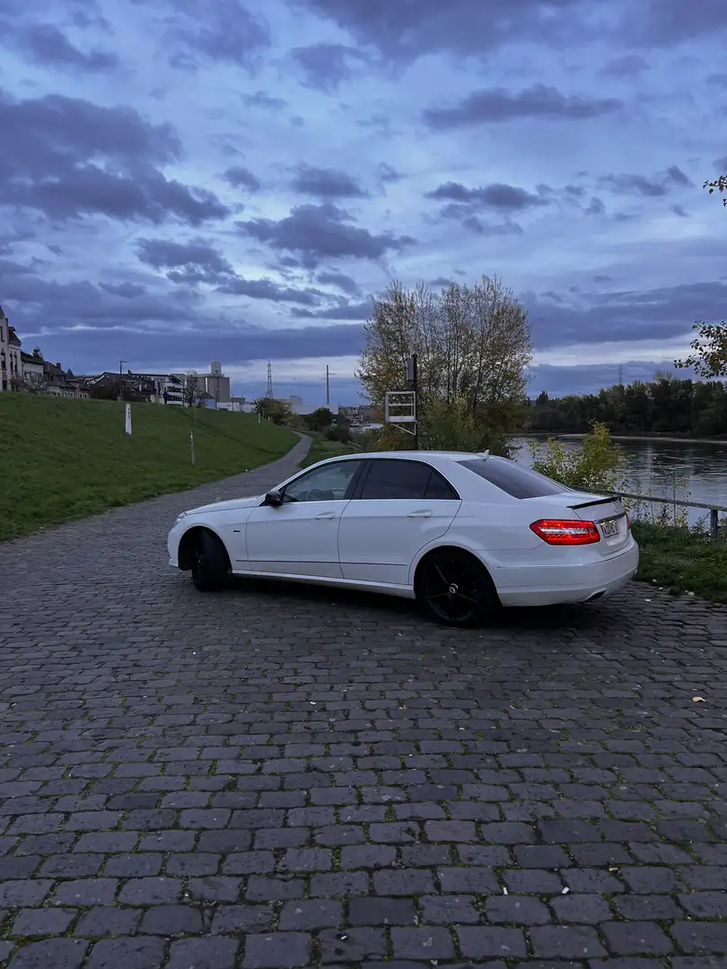 Mercedes-Benz E 220 CDI DPF BlueEFFICIENCY 7G-TRONIC - 2