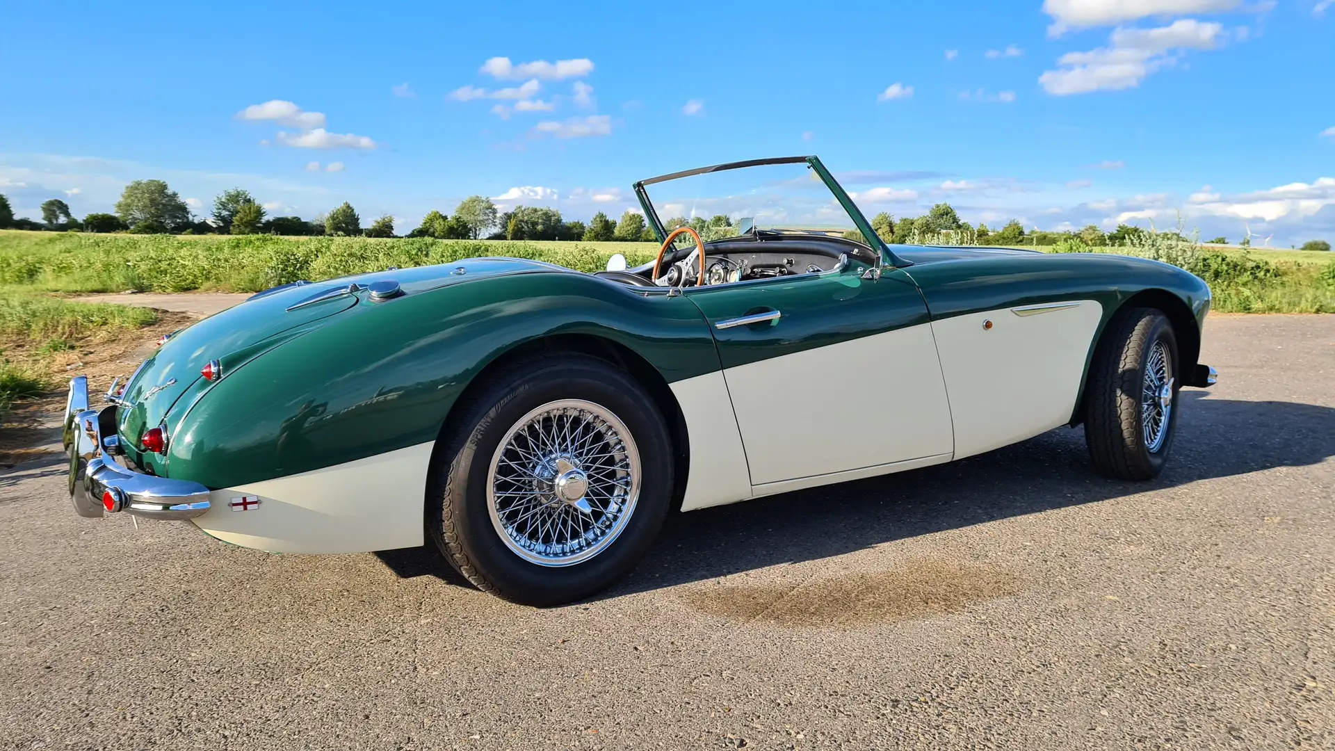 Austin-Healey 100 100/6  (BN6) Verde - 2
