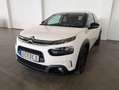 Citroen C4 Cactus Shine Weiß - thumbnail 3