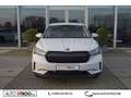 Skoda Enyaq 80 Sport l ACC l LED l ALUBLACK Blanc - thumbnail 3