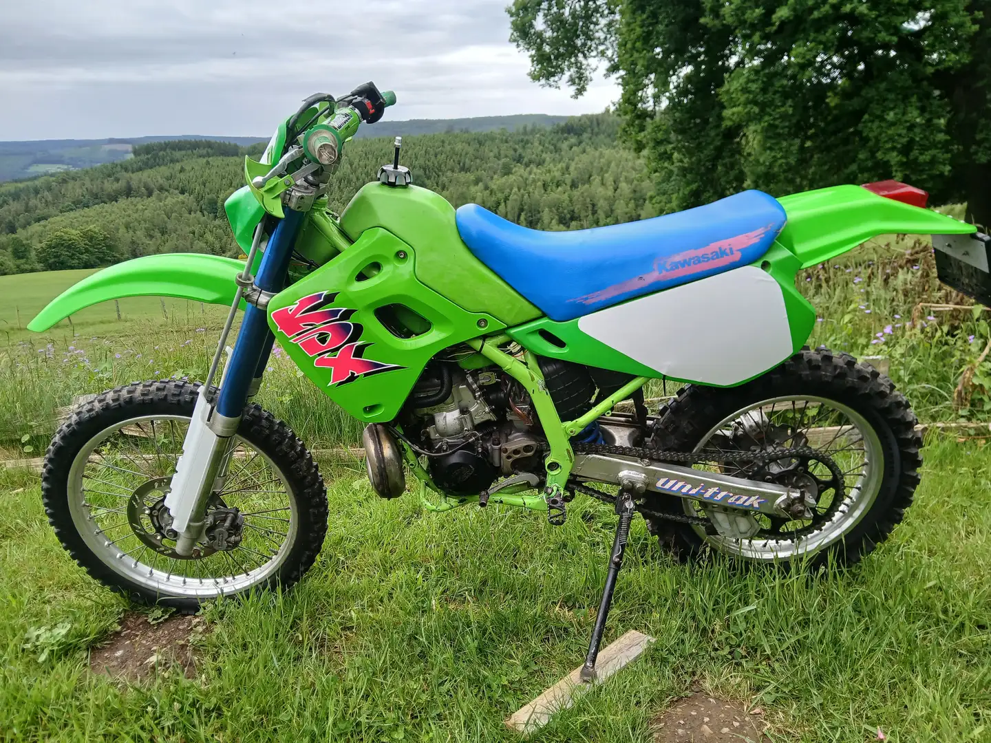 Kawasaki KDX 250 Grün - 1