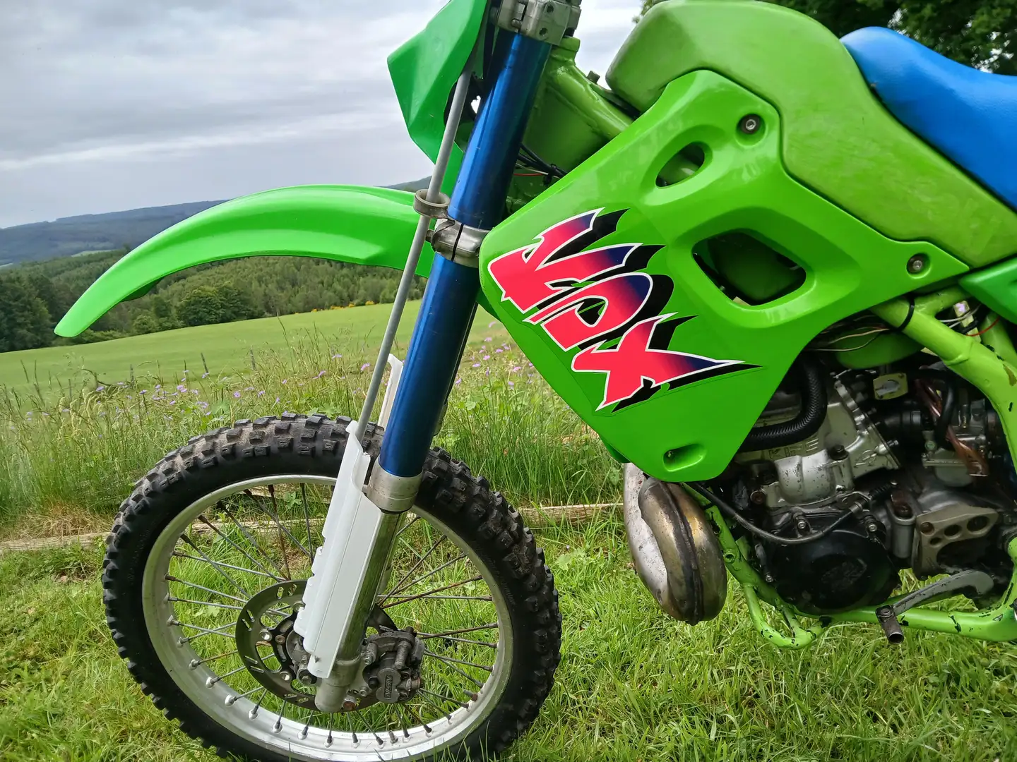 Kawasaki KDX 250 Grün - 2