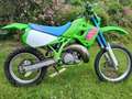 Kawasaki KDX 250 Grün - thumbnail 9