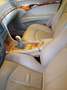 Mercedes-Benz E 270 Classe E - W211 Berlina td cdi Avantgarde Blu/Azzurro - thumbnail 6