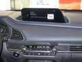 Mazda CX-30 2.0 Skyactive-X M-Hybrid 2WD Automatik Navi Rot - thumbnail 8
