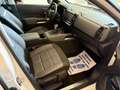 Citroen C5 Aircross 1.5 bluehdi Shine s Bianco - thumbnail 14