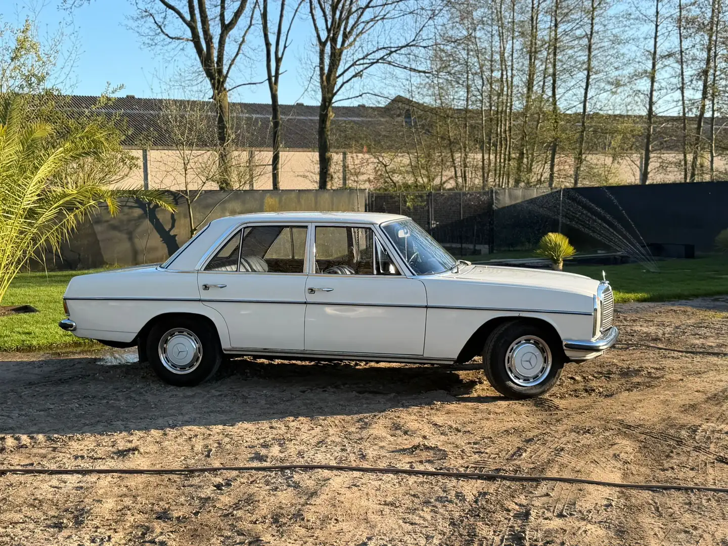 Mercedes-Benz W 114/115 Strich-Acht Beige - 2