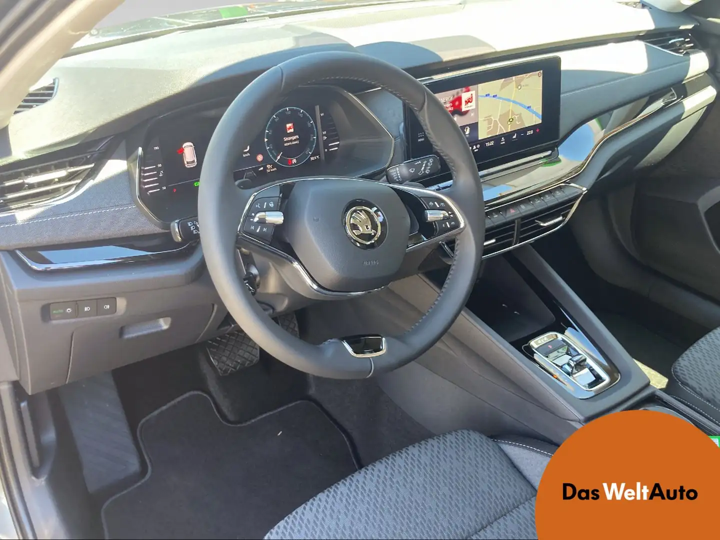 Skoda Octavia 4x4 Style TDI DSG Grijs - 1