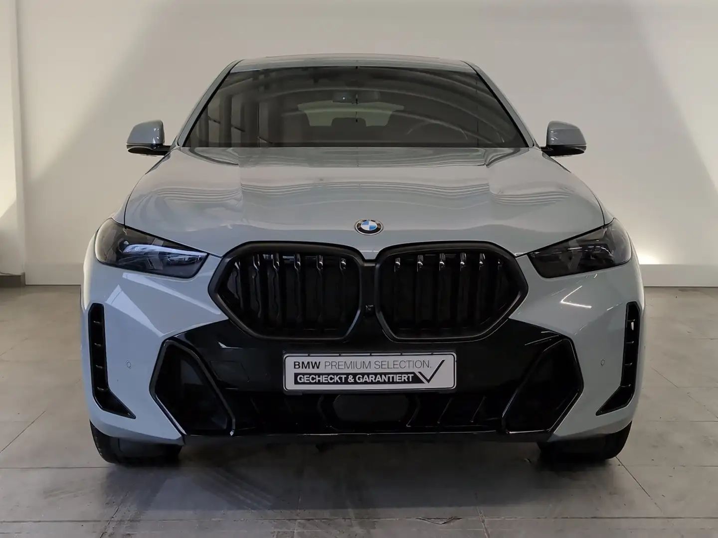 BMW X6 xDrive40d M Sport Navi/LED/Pano/H&K/AHK/SoftC Navi Gris - 2