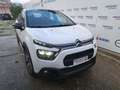 Citroen C3 PureTech 110 S&S EAT6 Shine Pack - AZIENDALE Bianco - thumbnail 6