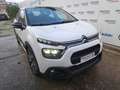 Citroen C3 PureTech 110 S&S EAT6 Shine Pack - AZIENDALE Bianco - thumbnail 5