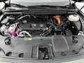 Lexus RX 450h 450h+ Plug-in Hybrid President Line Limited | Trek Grün - thumbnail 34