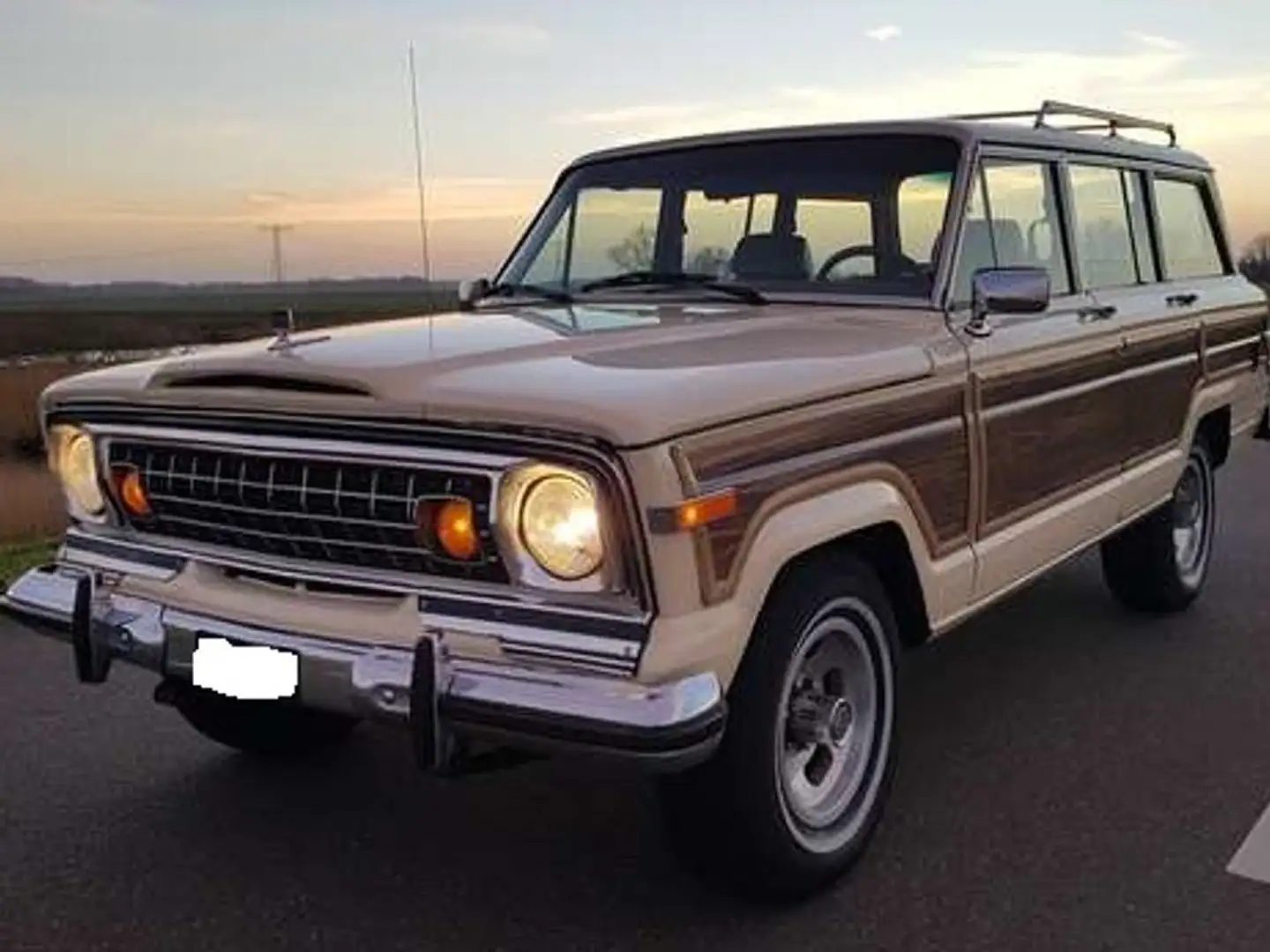 Jeep Wagoneer Wagoneer 5.9 V8 Limited Wagon Beige - 1