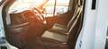 Ford Transit 350 2.0 EcoBl.130CV PL Cassonato Trend- PREZZO+IVA Bianco - thumbnail 12