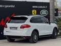 Porsche Cayenne 3.0 V6 TDI 245CV Tip TETTO SOSPENSIONI Blanc - thumbnail 9