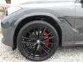 BMW X6 xDrive 30d M Sport LASER/ACTIVESOUND/360*/PAN Grau - thumbnail 11