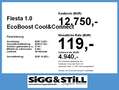 Ford Fiesta 1.0 EcoBoost Cool&Connect KLIMA*LED*SPUR Weiß - thumbnail 4
