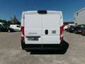 Fiat Ducato Kasten L2H1*KLIMA*CAM*PDC*BT*TEMP*DAB Weiß - thumbnail 4