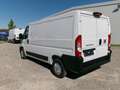 Fiat Ducato Kasten L2H1*KLIMA*CAM*PDC*BT*TEMP*DAB Weiß - thumbnail 17
