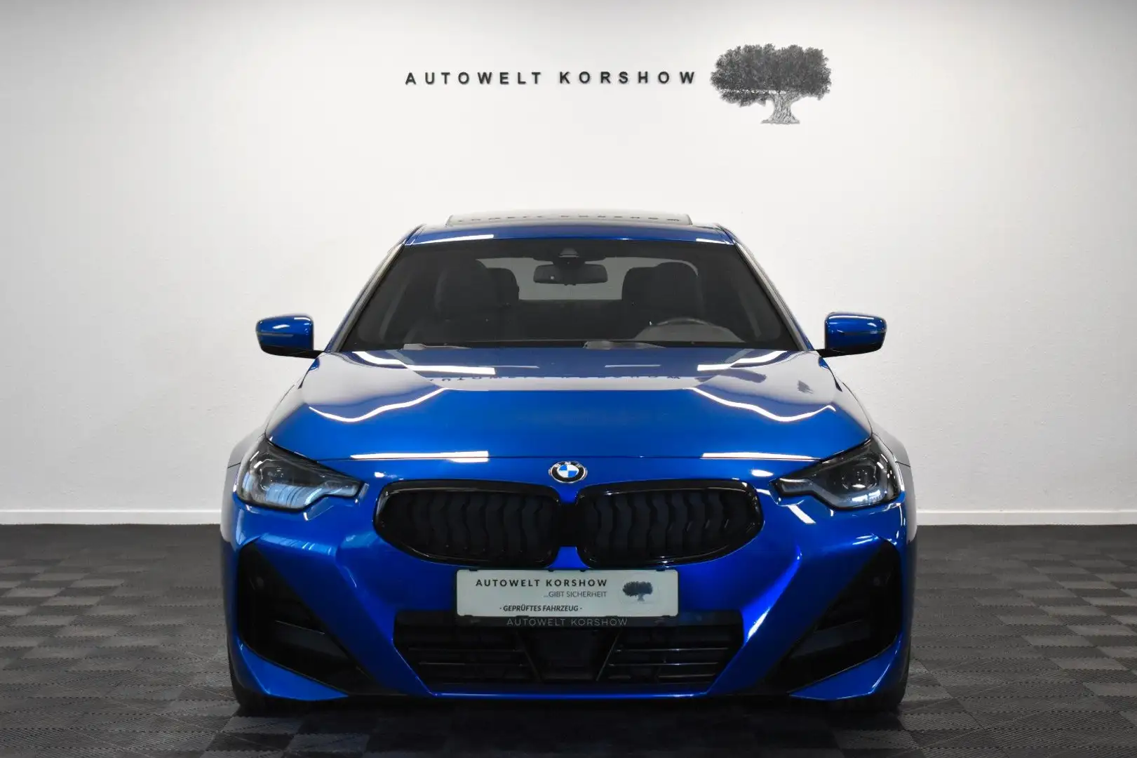 BMW 220 d M Sport *H&K *KEYLESS *S-DACH *AHK *ACC Blau - 2