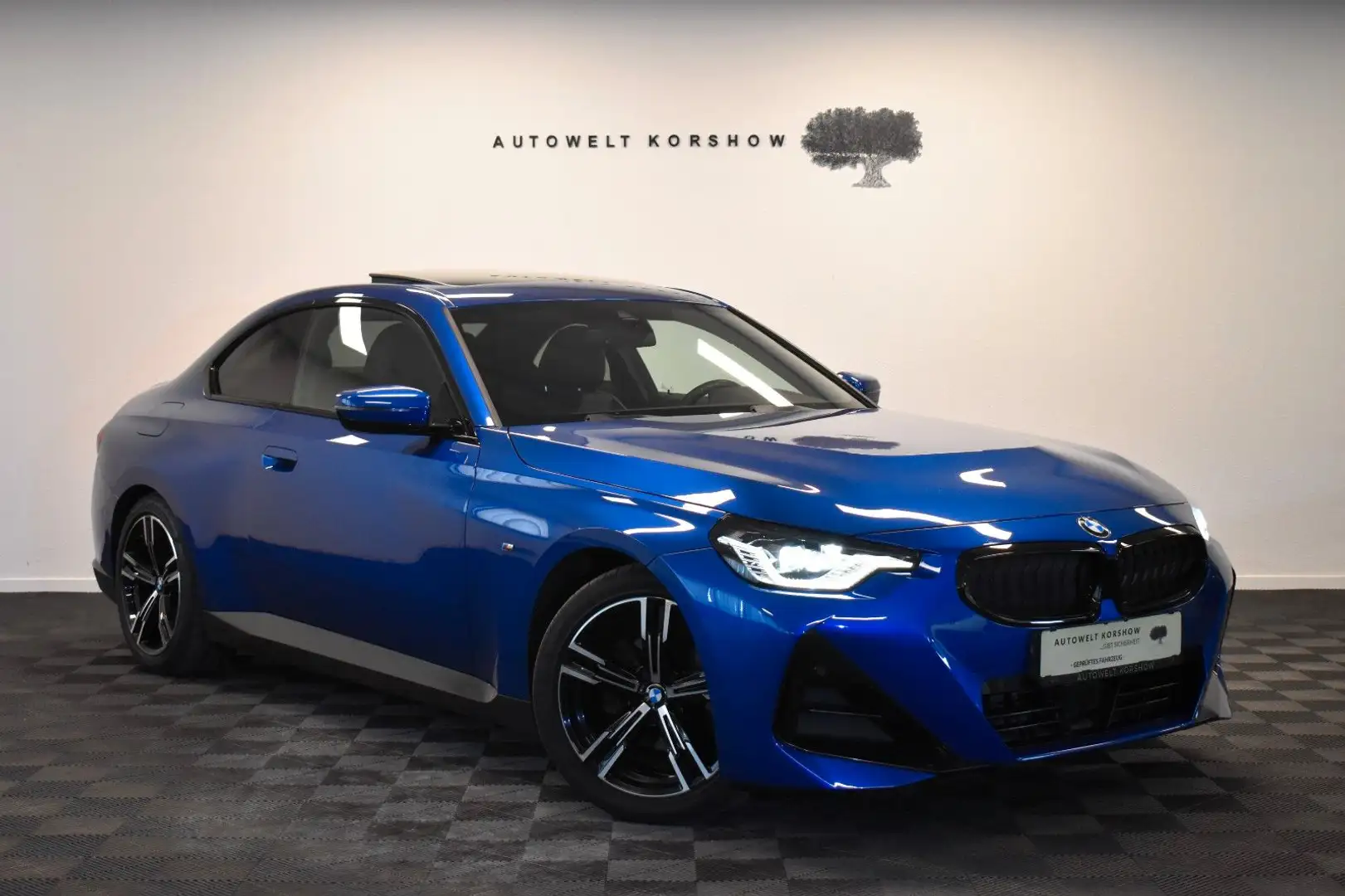 BMW 220 d M Sport *H&K *KEYLESS *S-DACH *AHK *ACC Blau - 1