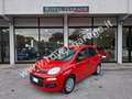 Fiat Panda 1.2 Easy 69 cv (5 POSTI) NEOPATENTATI - 25.000 km Rojo - thumbnail 1