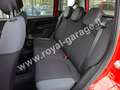 Fiat Panda 1.2 Easy 69 cv (5 POSTI) NEOPATENTATI - 25.000 km Rojo - thumbnail 8