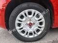 Fiat Panda 1.2 Easy 69 cv (5 POSTI) NEOPATENTATI - 25.000 km Rojo - thumbnail 14