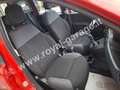 Fiat Panda 1.2 Easy 69 cv (5 POSTI) NEOPATENTATI - 25.000 km Rojo - thumbnail 7