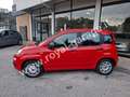 Fiat Panda 1.2 Easy 69 cv (5 POSTI) NEOPATENTATI - 25.000 km Rojo - thumbnail 2