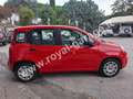 Fiat Panda 1.2 Easy 69 cv (5 POSTI) NEOPATENTATI - 25.000 km Rojo - thumbnail 4