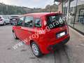 Fiat Panda 1.2 Easy 69 cv (5 POSTI) NEOPATENTATI - 25.000 km Rojo - thumbnail 3