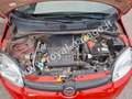 Fiat Panda 1.2 Easy 69 cv (5 POSTI) NEOPATENTATI - 25.000 km Rojo - thumbnail 15