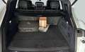 Porsche Cayenne E-Hybrid ACC Surround auch andere kurzfristig Weiß - thumbnail 20