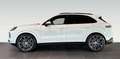 Porsche Cayenne E-Hybrid ACC Surround auch andere kurzfristig Weiß - thumbnail 4