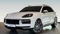 Porsche Cayenne E-Hybrid ACC Surround auch andere kurzfristig Weiß - thumbnail 1