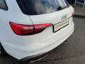 Audi A4 40 TFSI S line*Navi*Alu*PDC*Audi Connec Weiß - thumbnail 16