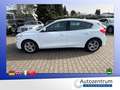 Ford Focus 1.0 Ecoboost Trend *NAVI*SITZHEIZUNG* Weiß - thumbnail 22