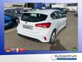 Ford Focus 1.0 Ecoboost Trend *NAVI*SITZHEIZUNG* Weiß - thumbnail 4