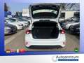 Ford Focus 1.0 Ecoboost Trend *NAVI*SITZHEIZUNG* Weiß - thumbnail 21