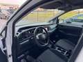 Volkswagen Caddy 2.0 TDI Furgone Bianco - thumbnail 12